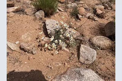 254-24-002 Mica, Kingman, AZ 86401 - Photo 15