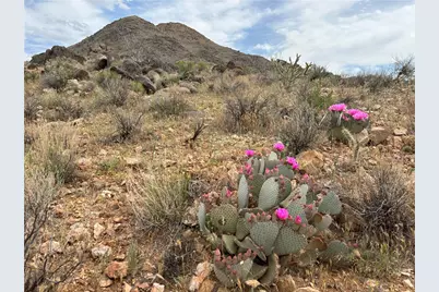 254-24-002 Mica, Kingman, AZ 86401 - Photo 31