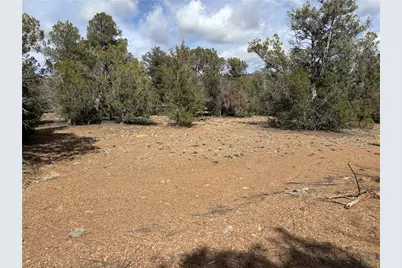 160 N Fort Rock Road, Kingman, AZ 86401 - Photo 23