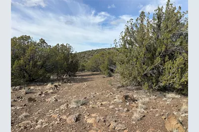 160 N Fort Rock Road, Kingman, AZ 86401 - Photo 33