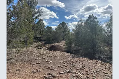 40 N Diamond M Ranch Road, Kingman, AZ 86401 - Photo 27