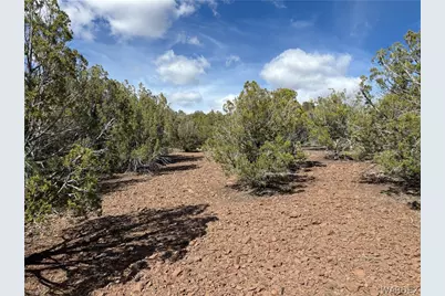 40 N Diamond M Ranch Road, Kingman, AZ 86401 - Photo 3