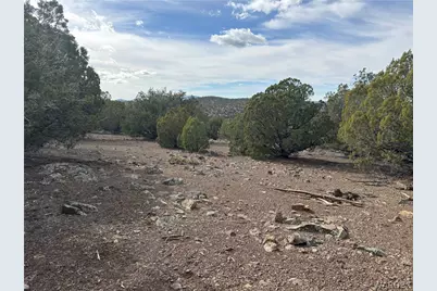 40 N Diamond M Ranch Road, Kingman, AZ 86401 - Photo 35