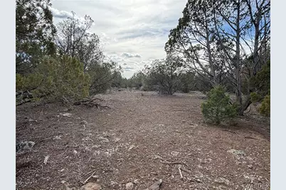 40 N Diamond M Ranch Road, Kingman, AZ 86401 - Photo 39