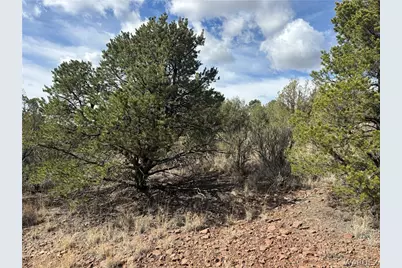 40 N Diamond M Ranch Road, Kingman, AZ 86401 - Photo 9