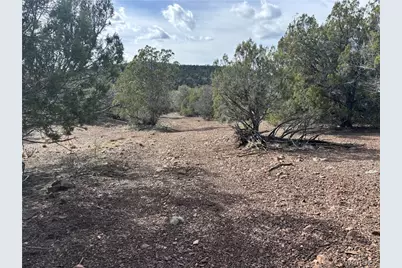 40 N Diamond M Ranch Road, Kingman, AZ 86401 - Photo 17