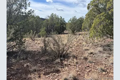 40 N Diamond M Ranch Road, Kingman, AZ 86401 - Photo 11