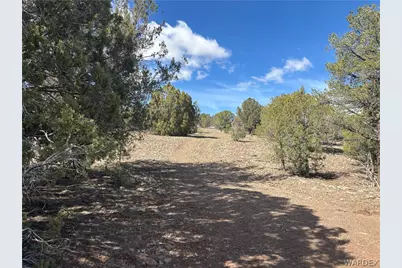 40 N Diamond M Ranch Road, Kingman, AZ 86401 - Photo 41