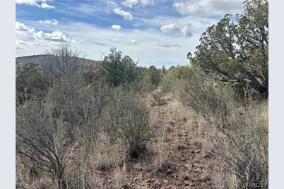 40 N Diamond M Ranch Road, Kingman, AZ 86401 - Photo 7