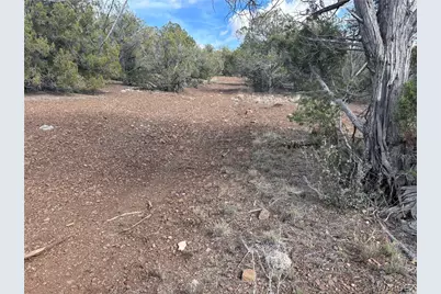 40 N Diamond M Ranch Road, Kingman, AZ 86401 - Photo 19