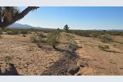 21688 S Roy Rogers Road, Yucca, AZ 86438 - Photo 21