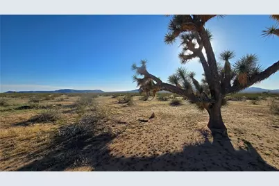 21688 S Roy Rogers Road, Yucca, AZ 86438 - Photo 7