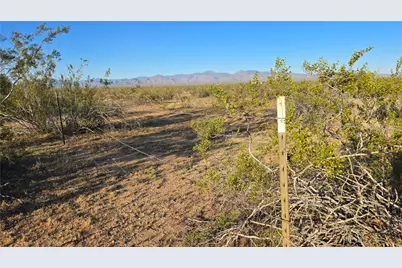 21688 S Roy Rogers Road, Yucca, AZ 86438 - Photo 5
