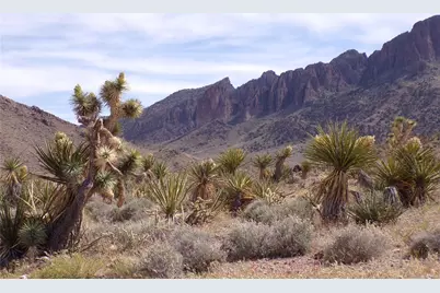 328-05-491 Palo Alto, Dolan Springs, AZ 86441 - Photo 3