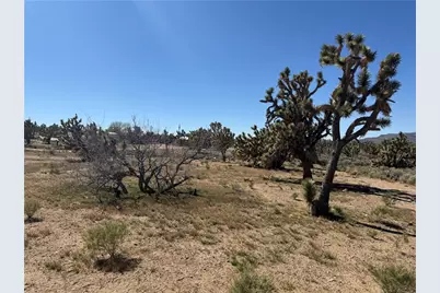 Lot 19 Squaw Drive, Dolan Springs, AZ 86441 - Photo 7