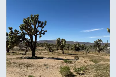 Lot 19 Squaw Drive, Dolan Springs, AZ 86441 - Photo 5