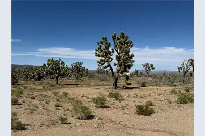 Lot 19 Squaw Drive, Dolan Springs, AZ 86441 - Photo 3