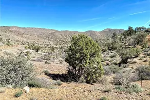 9095 E Elliot Ridge Rd, Kingman, AZ 86401 - Photo 31