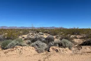 207-17-166A Cherry Rd, Yucca, AZ 86438 - Photo 1