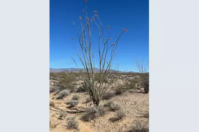 Lots 165/166 Cherry Road, Yucca, AZ 86438 - Photo 7