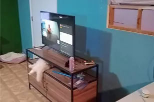 3587 N Horse Mesa Rd, Golden Valley, AZ 86413 - Photo 5