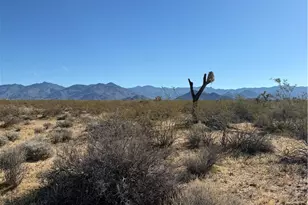 245-26-039 Raley Rd, Yucca, AZ 86438 - Photo 1