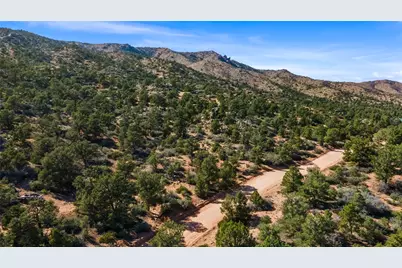 313-87-005 Trap Springs Road, Hackberry, AZ 86411 - Photo 3