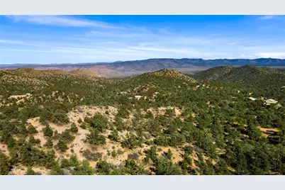 313-87-005 Trap Springs Road, Hackberry, AZ 86411 - Photo 19