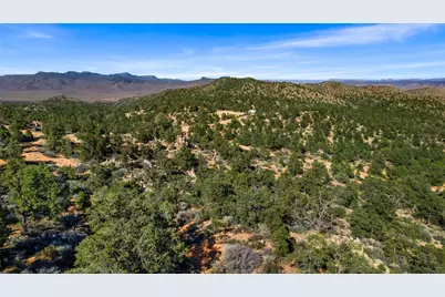313-87-005 Trap Springs Road, Hackberry, AZ 86411 - Photo 19