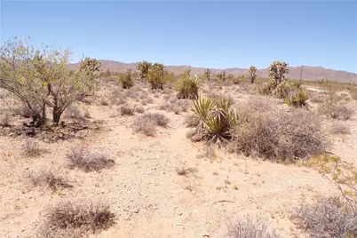337-05-010 W Spring Drive, Meadview, AZ 86444 - Photo 11
