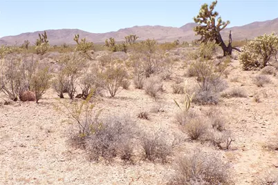 337-05-010 W Spring Drive, Meadview, AZ 86444 - Photo 13