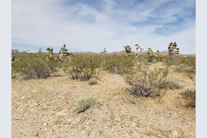 20594 N Wild Horse Drive, White Hills, AZ 86445 - Photo 3