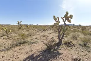 20594 N Wild Horse Dr, White Hills, AZ 86445 - Photo 1