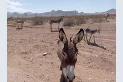 2177 S Estrella Rd., Golden Valley, AZ 86413 - Photo 9