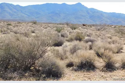 Lot 7 N Abeche Drive, Chloride, AZ 86431 - Photo 7