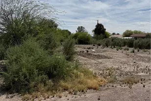 10580 S Tropics Rd, Mohave Valley, AZ 86440 - Photo 1