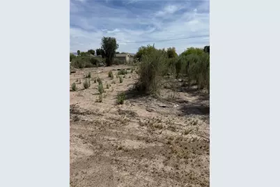 10580 S Tropics Road, Mohave Valley, AZ 86440 - Photo 3