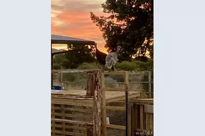 1575 S Roy Road, Kingman, AZ 86401 - Photo 27