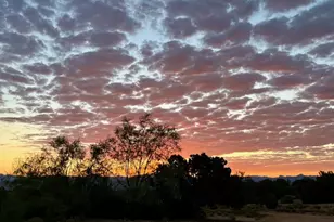 1575 S Roy Rd, Kingman, AZ 86401 - Photo 9