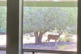 1575 S Roy Rd, Kingman, AZ 86401 - Photo 29