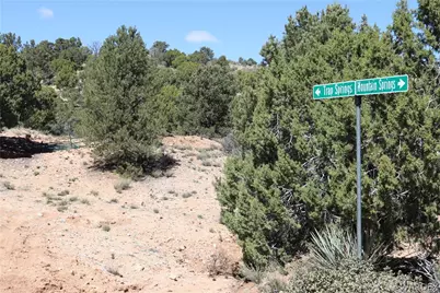 313-79-012C Mountain Springs Road, Hackberry, AZ 86411 - Photo 35