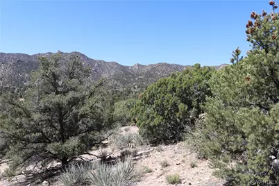 313-79-012C Mountain Springs Road, Hackberry, AZ 86411 - Photo 21