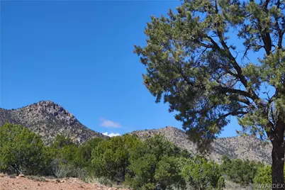 0000 Tbd Mountain Springs Road, Hackberry, AZ 86411 - Photo 31