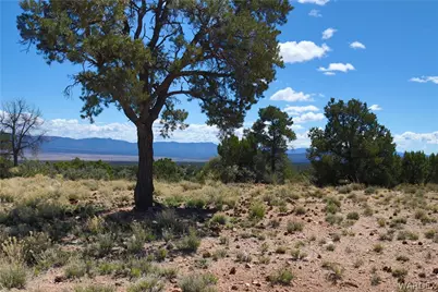 0000 Tbd Mountain Springs Road, Hackberry, AZ 86411 - Photo 25