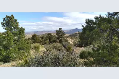313-79-012C Mountain Springs Road, Hackberry, AZ 86411 - Photo 1