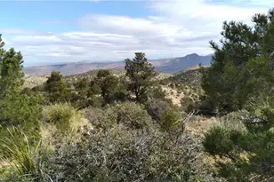 0000 Tbd Mountain Springs Rd, Hackberry, AZ 86411 - Photo 1