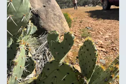 15893 E Stagecoach Well Drive, Kingman, AZ 86401 - Photo 29