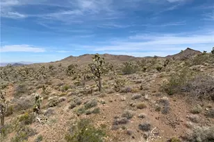 54 W Red Willow Springs Rd, White Hills, AZ 86445 - Photo 1