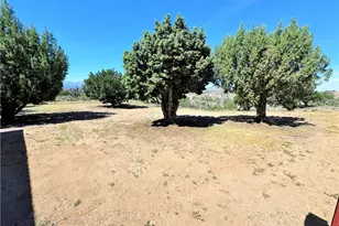 14224 E Randy Ranch, Kingman, AZ 86401 - Photo 35