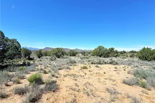 14224 E Randy Ranch, Kingman, AZ 86401 - Photo 65